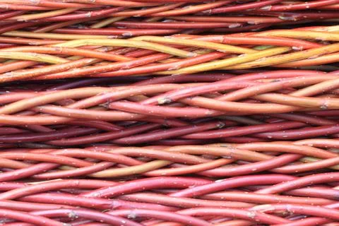 Czech easter rods background 写真素材