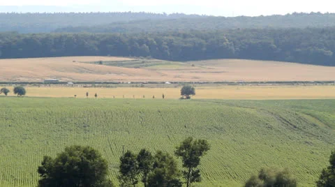 Czech fields 스톡 동영상 26899599