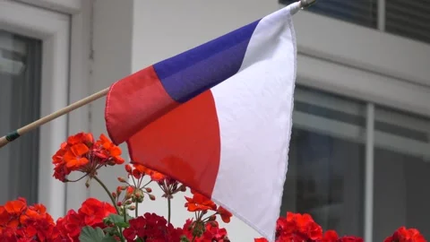 Czech flag behind a window Stock Footage 157364140