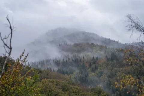 Czech mouuntains - timelapse Video stock 167207952