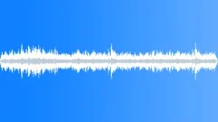 CZECH REP,BAR Sound Effect