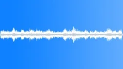 CZECH REP,RESTAURANT Sound Effect