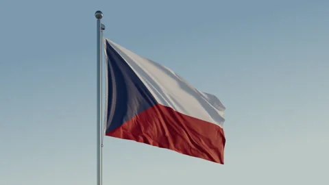Czech Republic Prague Flag loop Cinematic Realistic Waving Blue Sky 스톡 동영상 301723508
