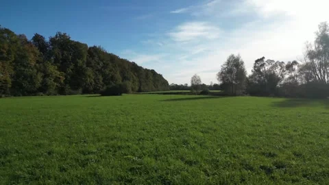 Czech river Odra Stock Footage 292768422