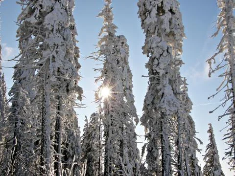 Czech winter Stock Photos