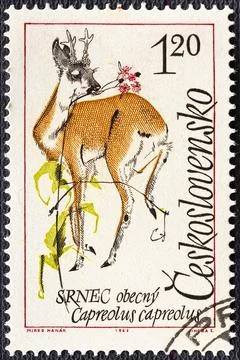 CZECHOSLOVAKIA - CIRCA 1963: stamp printed by Czechoslovakia, shows Roe deer. Stock Photos