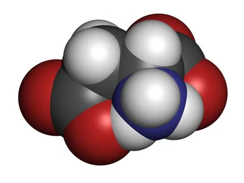 D-aspartic acid (D-aspartate) amino acid molecule. 3D rendering. Stock Illustration