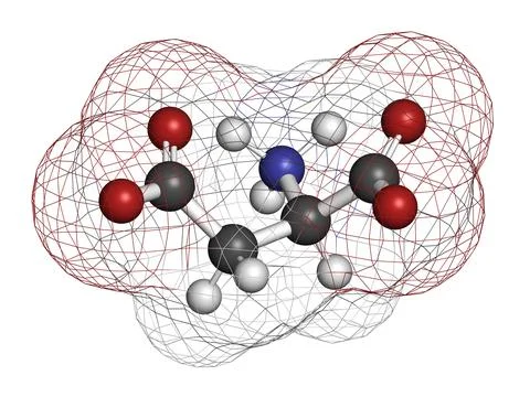 D-aspartic acid (D-aspartate) amino acid molecule. 3D rendering. Stock Illustration