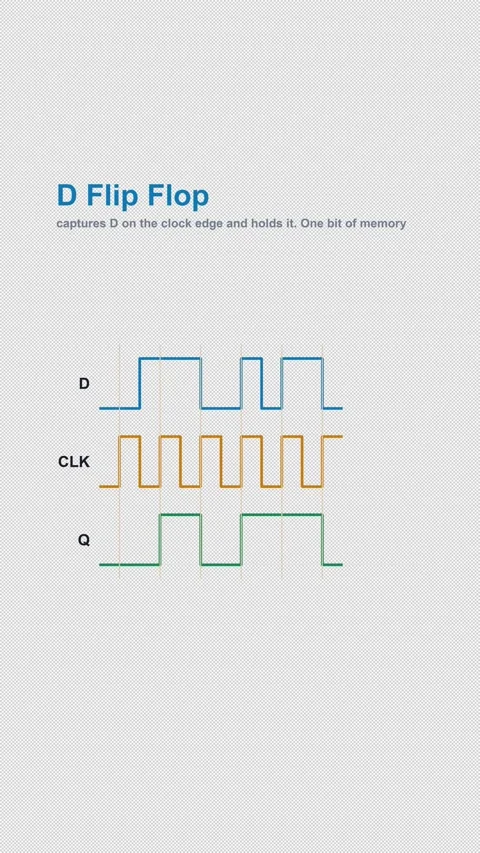 D Flip Flop Labeled Timing Diagram Animation Alpha 4K Vertical 9x16 Light Stockbeeldmateriaal 339529138