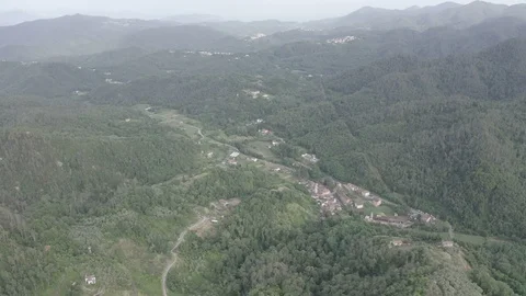 D-Log. Italy. Forest covered mountains and villas. The territory of Pignone in Stock Footage 123954828