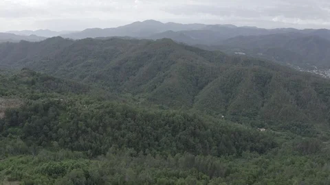 D-Log. Italy. Forest covered mountains and villas. Church of San Michele Stock Footage 123956330