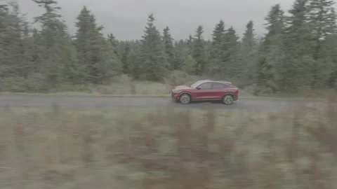 D-LOG Red Ford Mustang Mach E4X in Nature Video stock 217673039