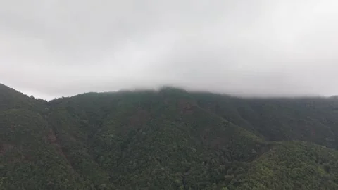 D-Log video. Clouds embracing koh chang island rainforest in thailand Video stock 304654642
