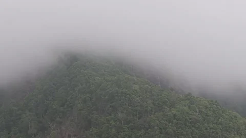 D-Log video. Fog rolling over lush tropical mountain on koh chang island Stock Footage 304654700