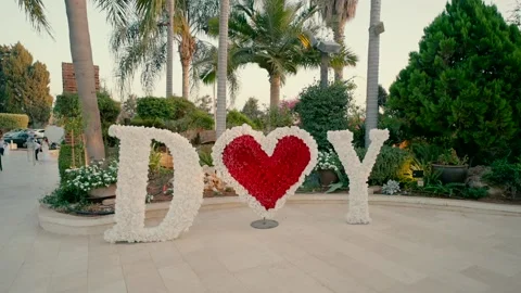 D loves Y. white and red flowers. Stock Footage 219882536