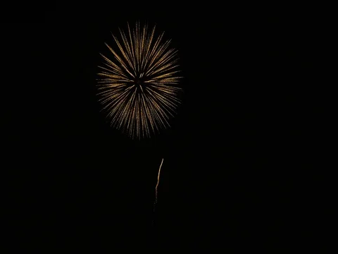D023 R001 08031R RDC Stock Footage 72693023
