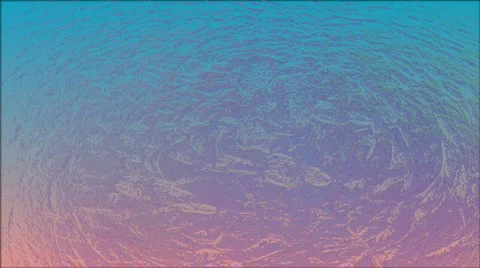 D2051FZ2 Stock Footage 347877