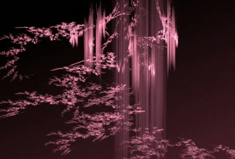 D2107P Stock Footage 339843