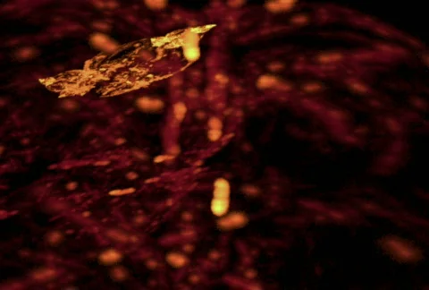 D2116M4 Stock Footage 339845