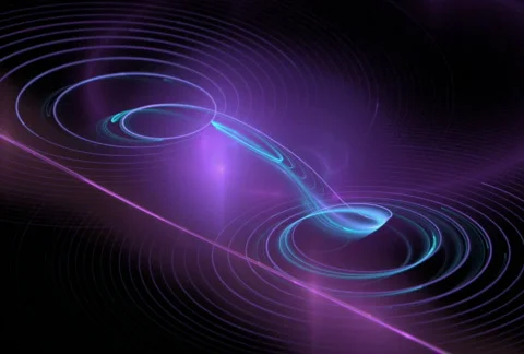 D2121D Stock Footage 338872