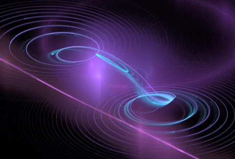 D2121DR Stock Footage 337213