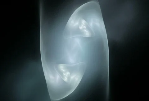 D2131i5 Stock Footage 342509