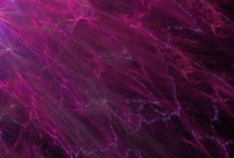 D2137C Stock Footage 344140