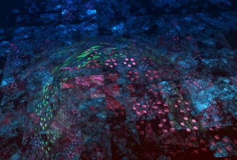 D2139G Stock Footage 339840