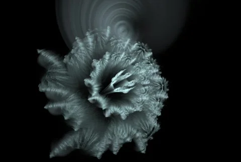 D2187Kalpha Stock Footage 344194