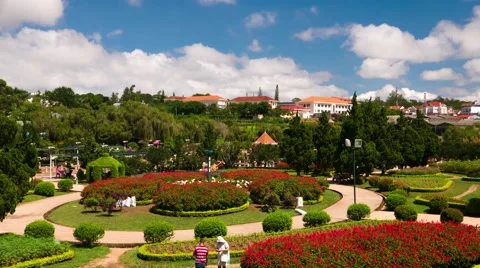 Da Lat - May 2015: Flower park time lapse. 4K resolution. Vietnam Stock Footage 51643135