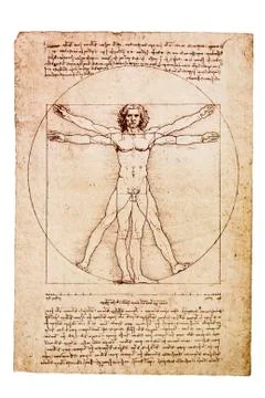 Da Vinci's Vitruvian Man Stock Photos