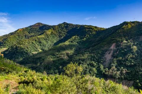 DA2A1746 edit Stock Photos