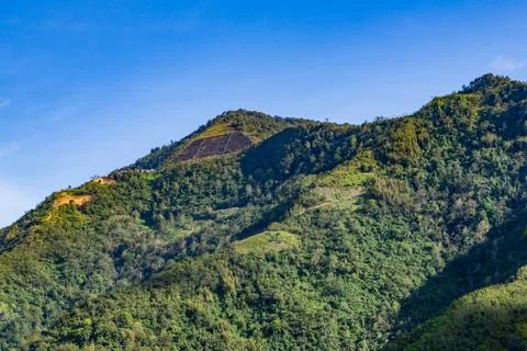 DA2A1748 edit Stock Photos