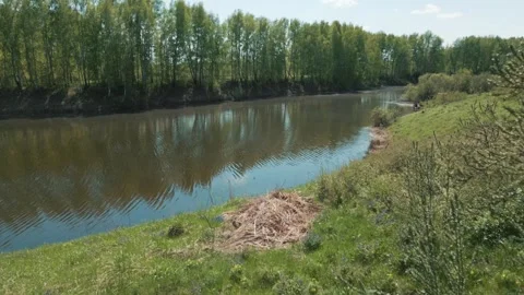Dacha Garden Birch Trees Amba River Drone Siberia Stock Footage 337148017