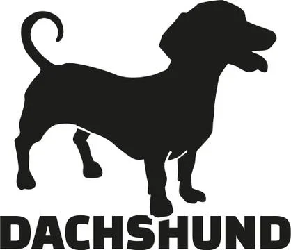 Dachshund with breed name Stock Illustration