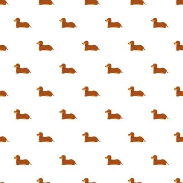 Dachshund dog breed seamless pattern vector illustration Stock Illustration