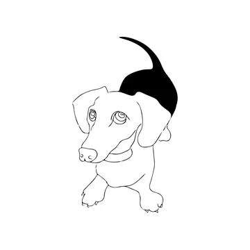 Dachshund dog Stock Illustration