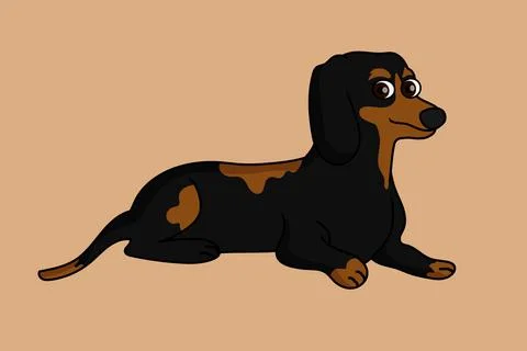Dachshund Dog lying on ground vector Stock Illustration