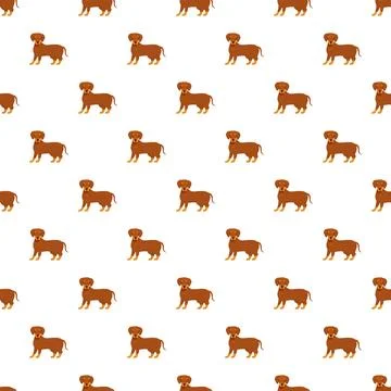 Dachshund dog pattern seamless repeating animal background Stock Illustration