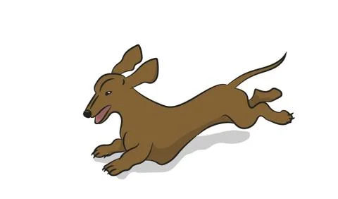 Dachshund dog running, vector Stock Illustration
