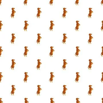 Dachshund dog standing pattern on white background Stock Illustration