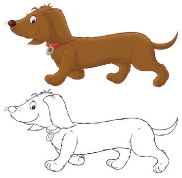 Dachshund Stock Illustration