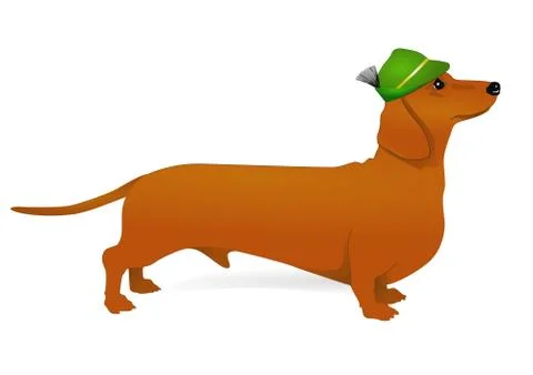 Dachshund Stock Illustration