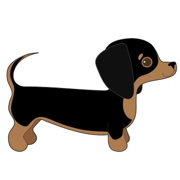 Dachshund Stock Illustration