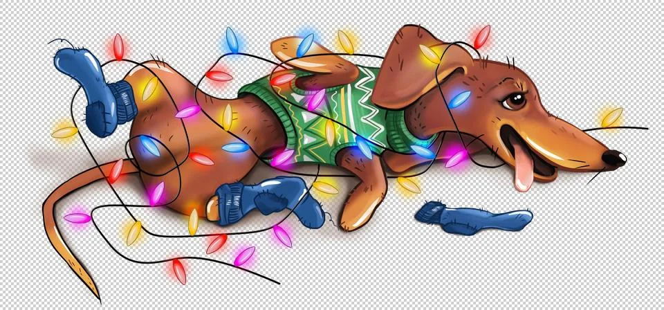 Dachshund Stock-Illustration