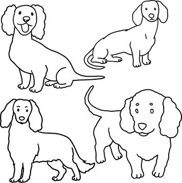 Dachshund line art set long body dog doodle funny small breed outline simple Stock-Illustration
