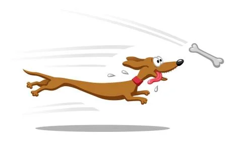 Dachshund running for bone Stock Illustration