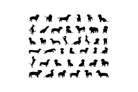 Dachshund Silhouettes in Various Poses. Vector icon. Stock Illustration