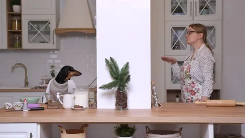Dachshund sits at table with baking ingredients. Pretty blonde in glasses and Stock Footage 133612203