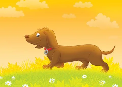 Dachshund on a walk Stock Illustration